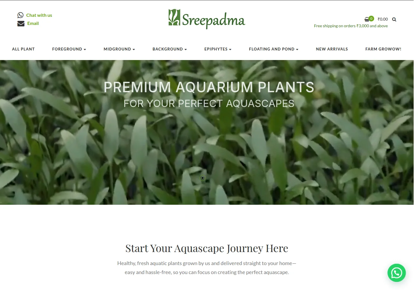 Sree Padma — Quinoid Case Study