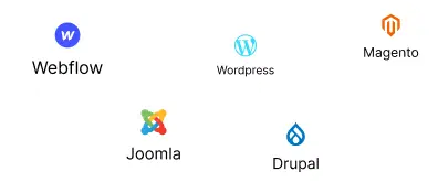 CMS Development